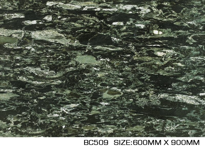 BC509
