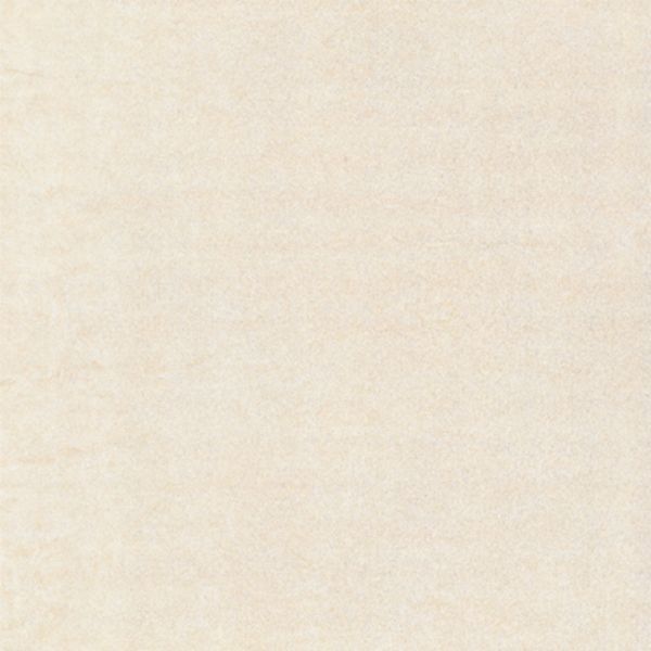 C81203P