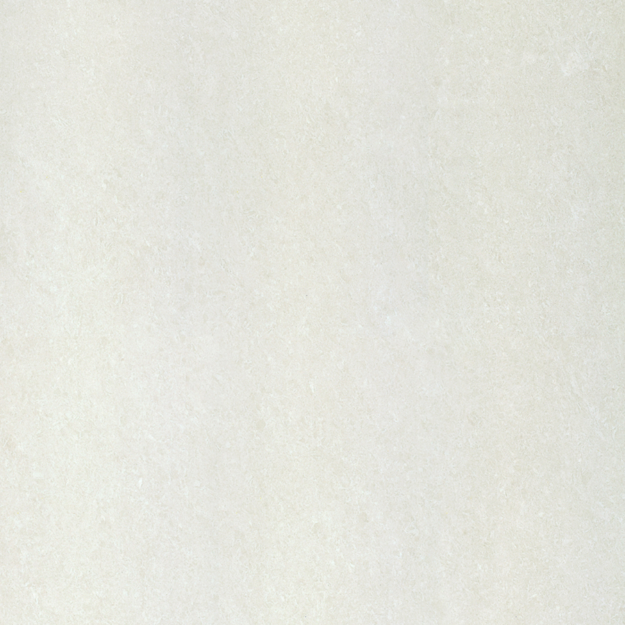 P10702N