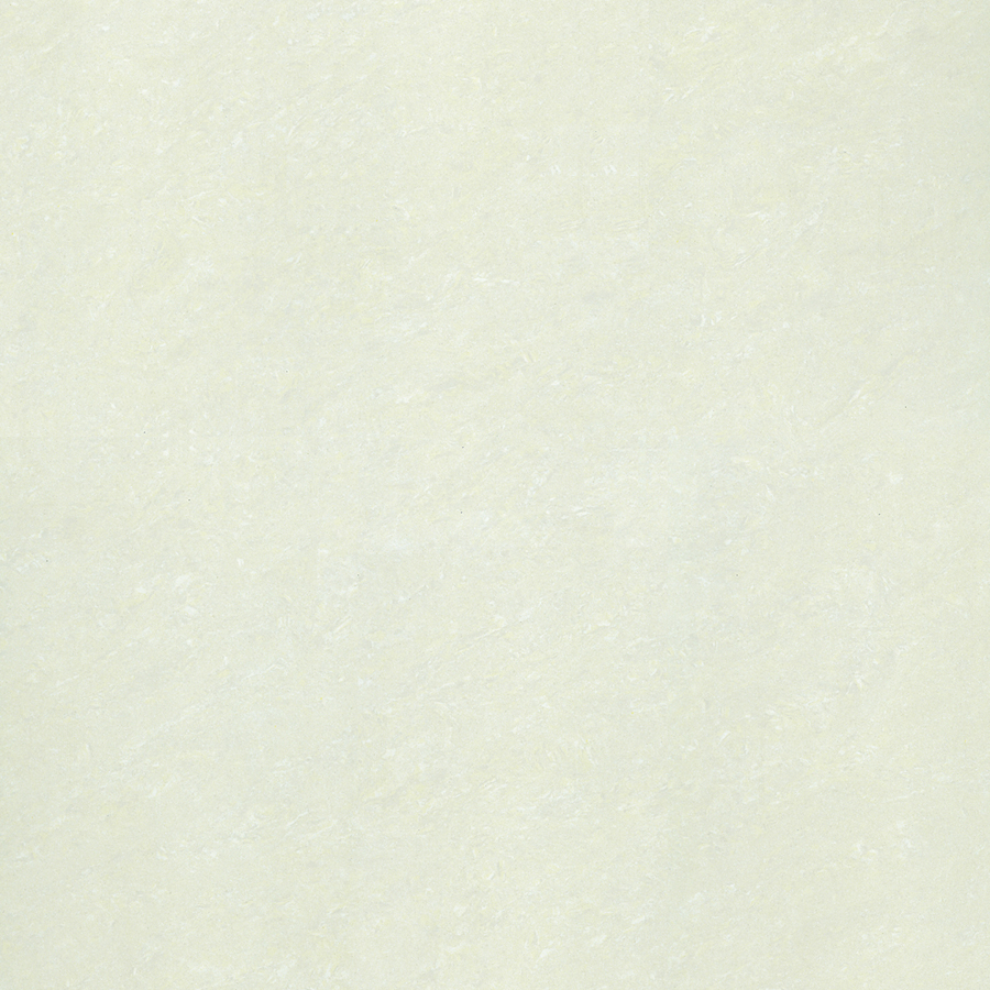P10703N
