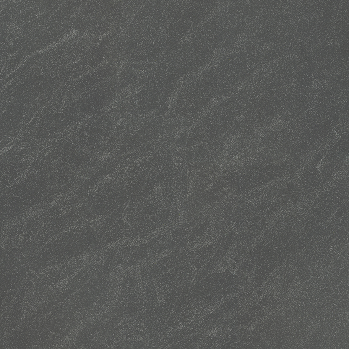 P67029N