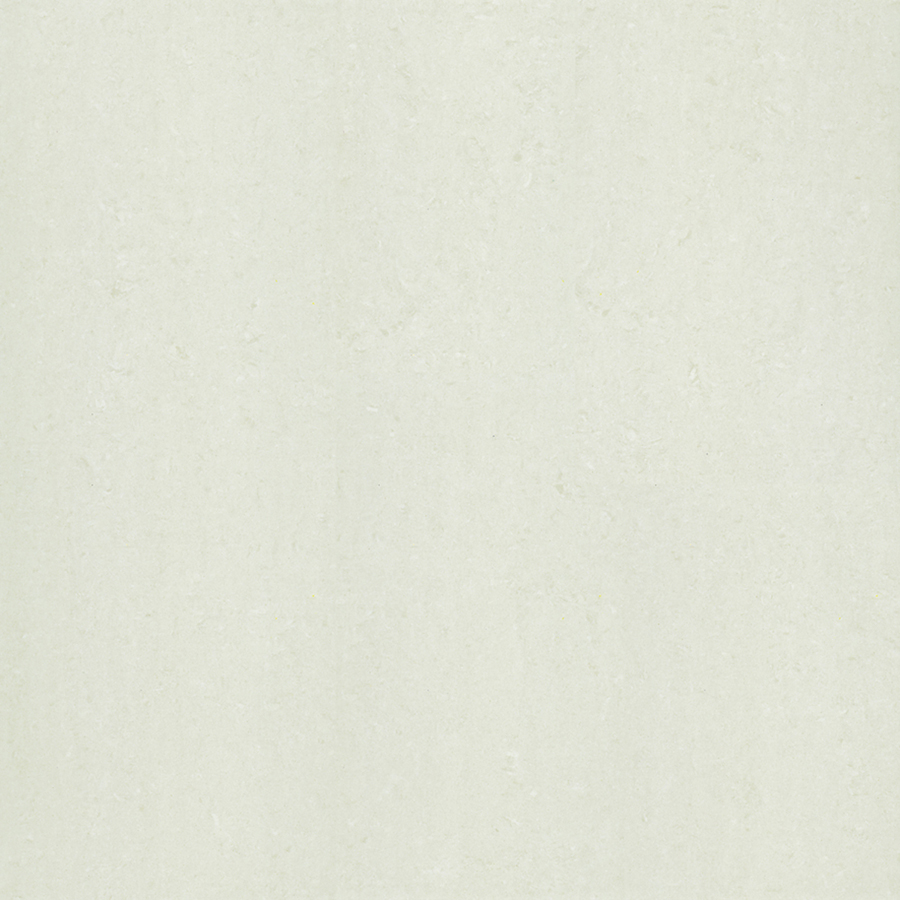 P67312N