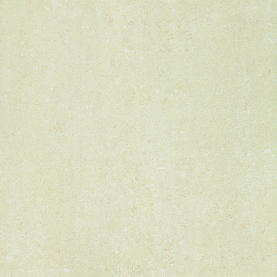 P67313N