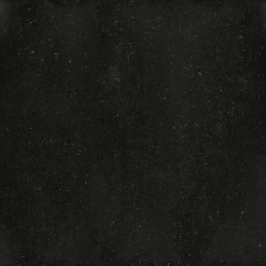 P67329N
