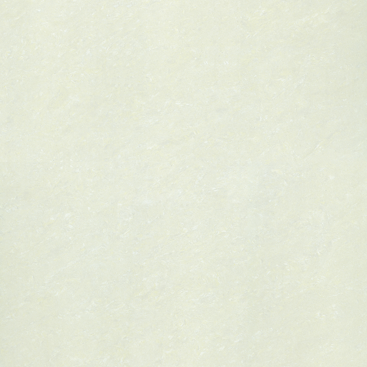P67703N