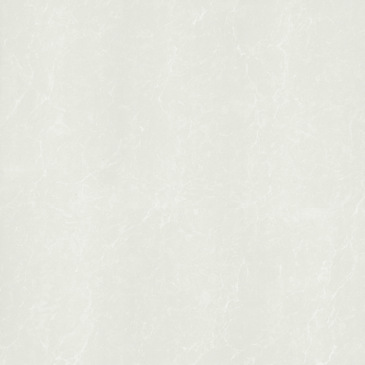 P67762N