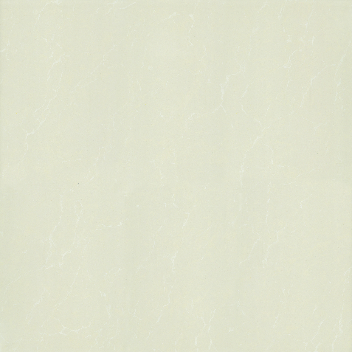 P67763N