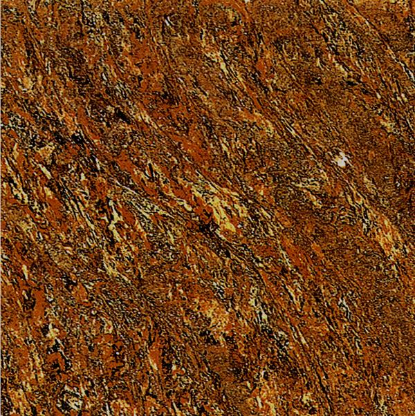 PH0808A