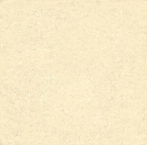 TPK06008-S