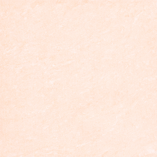 TPK06009-S