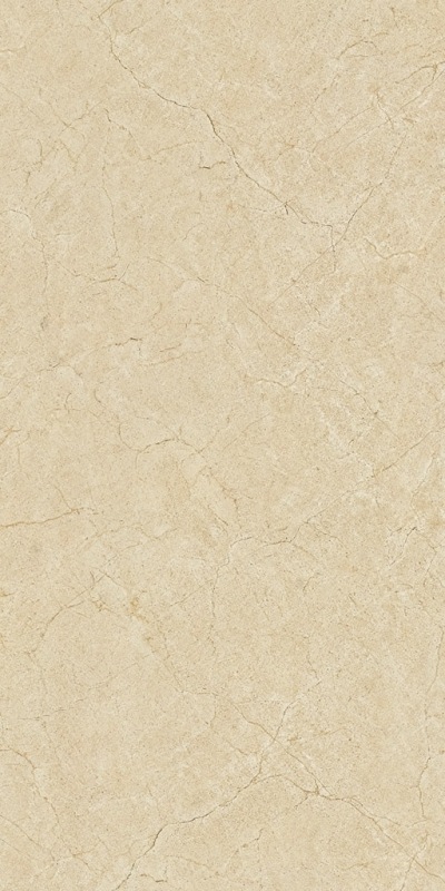 V01209