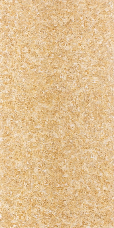 V01214
